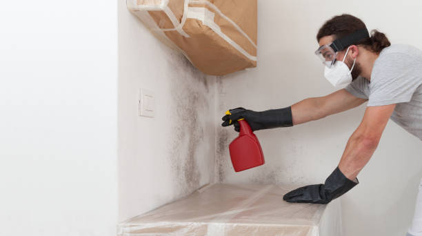 Professional Mold Removal technician working in Corolla, NC